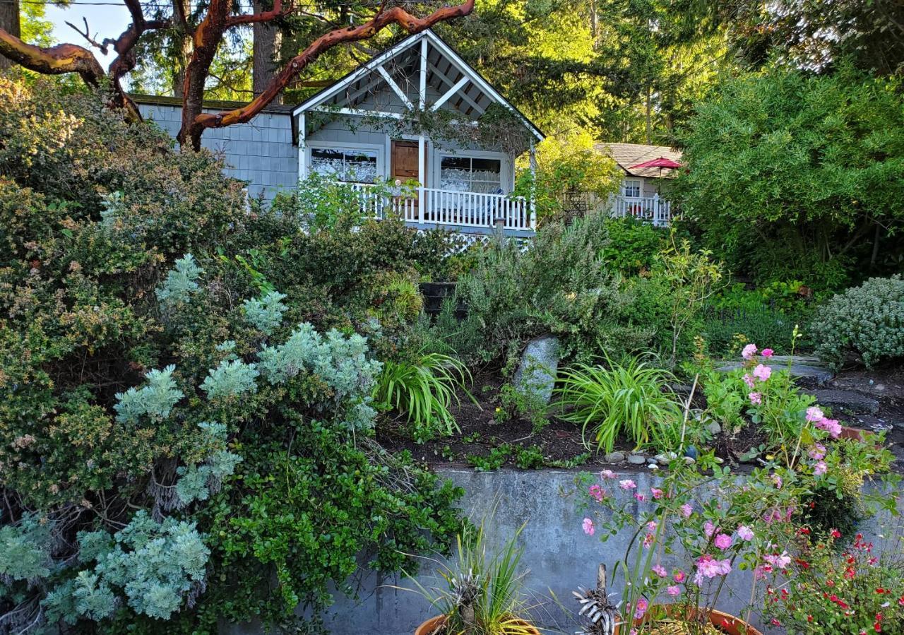 Bay Cottage Getaway Port Townsend Chambre photo